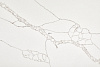 7470_Calacatta Bern
